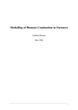 Modelling of Biomass Combustion in Furnaces