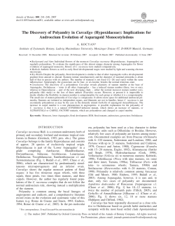 The Discovery of Polyandry in Curculigo
