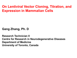 On Lentiviral Vector Cloning, Titration, and Expression in