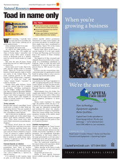 Toad in name only - Farm Progress Issue Search Engine