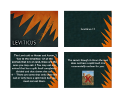 2016-02-28 Leviticus | Omnivore`s Conundrum.key