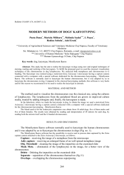 MODERN METHODS OF DOGS` KARYOTYPING