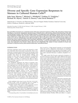 Diverse and Specific Gene Expression Responses to Stresses in