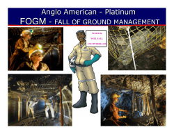 Anglo American - Platinum