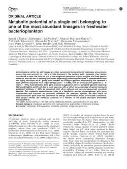 Metabolic potential of a single cell belonging to one of the