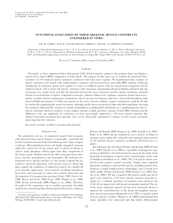 functional evaluation of nerve&ndash;skeletal muscle constructs
