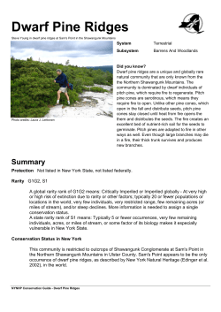 Dwarf Pine Ridges - New York Natural Heritage Program
