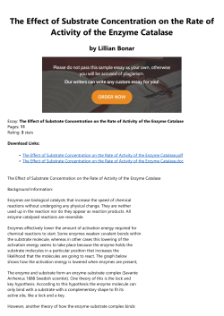 The Effect of Substrate Concentration on the