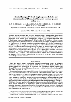 Characterization of Thevmodesulfobacteviurn