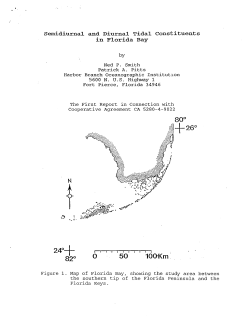 1`-+ - FAU Digital Collections