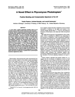 A Novel Effect in Phycomyces Phototropism`