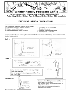 Muscle Stretching Instructions