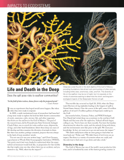 Life and Death in the Deep - Woods Hole Oceanographic Institution