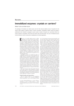 Immobilized enzymes: crystals or carriers?