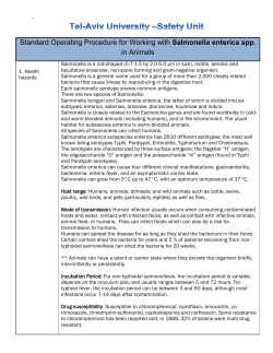Salmonella enterica spp.