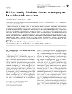 Multifunctionality of the linker histones: an emerging role for