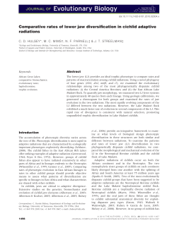 Comparative rates of lower jaw diversification in cichlid
