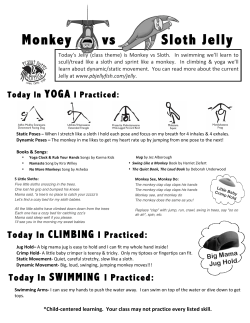 monkey sloth Jelly to go