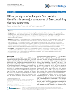 RIP-seq analysis of eukaryotic Sm proteins identifies three major