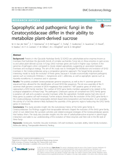 Saprophytic and pathogenic fungi in the Ceratocystidaceae
