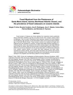 Fossil Mysticeti from the Pleistocene of Santa Maria Island, Azores
