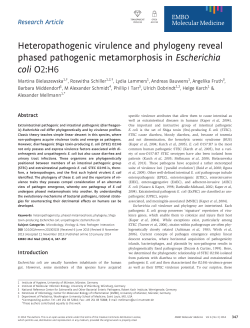 Heteropathogenic virulence and phylogeny reveal phased