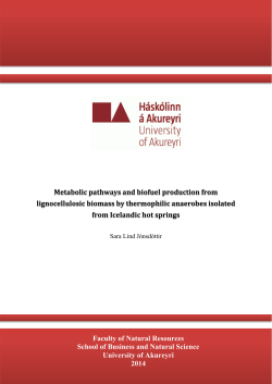 Metabolic pathways and biofuel production from