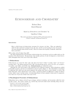 Echinoderms and Chordates