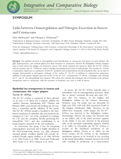 Links between Osmoregulation and Nitrogen