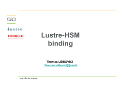 Lustre-HSM binding binding