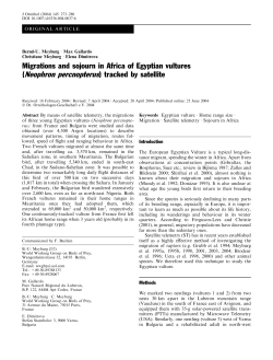 Migrations and sojourn in Africa of Egyptian vultures