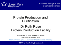 Protein production and purification PPT [PDF 1850KB]