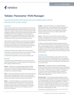 Tellabs Panorama PON Manager