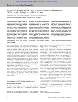 Acute myeloid leukemia carrying cytoplasmic