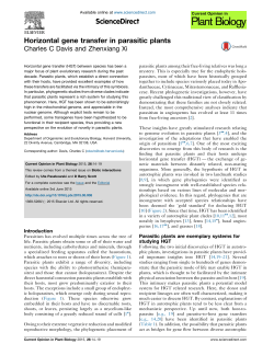 Horizontal gene transfer in parasitic plants