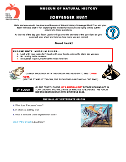 AMNH Scavenger Hunt