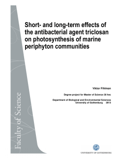 Short- and long-term effects of the antibacterial agent triclosan on