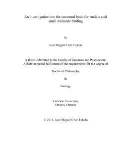 An investigation into the structural basis for nucleic acid small