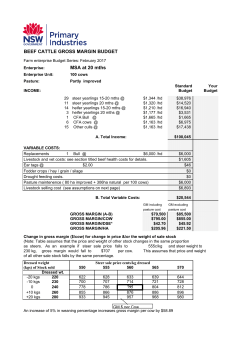 Beef cattle gross margin budget