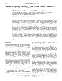 Explaining the Visible and Near-Infrared Circular Dichroism Spectra