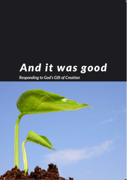 And it was good - Anglican Communion