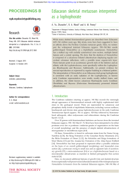 Ediacaran skeletal metazoan interpreted as a lophophorate
