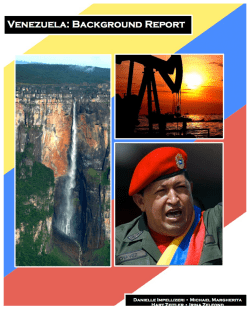 Background Report Venezuela