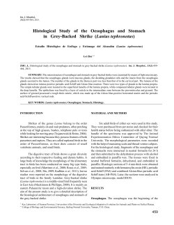 Histological Study of the Oesophagus and Stomach in