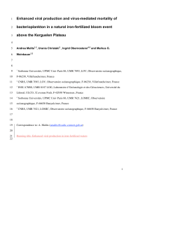 Enhanced viral production and virus