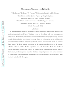 arXiv:q-bio/0609011v1 [q-bio.OT] 7 Sep 2006