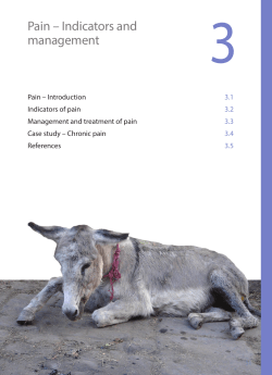 Pain – Indicators and management
