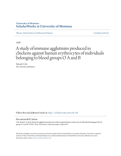 A study of immune agglutinins produced in chickens against human