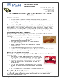 Severed Body Parts