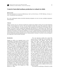 Control of microbial methane production in wetland rice fields